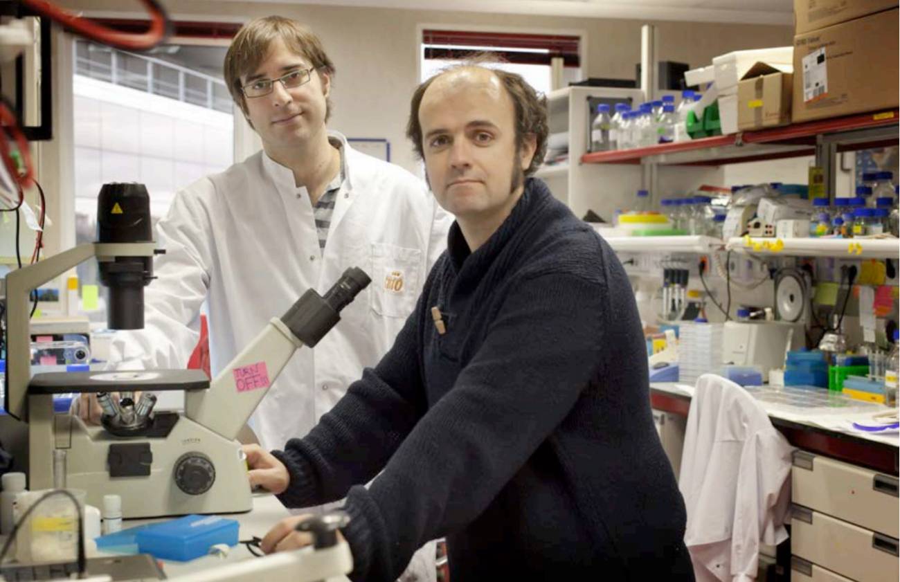 Fernández-Capetillo (delante) y Andrés Joaquín López-Contreras. / CNIO