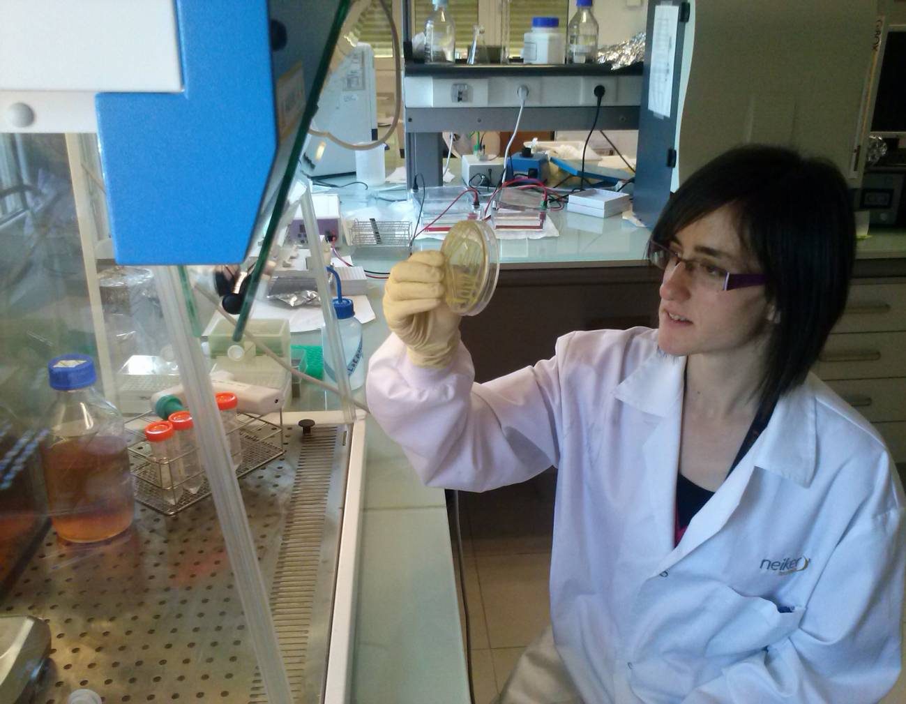 Genes de una planta y dos bacterias pueden ser utilizados como biomarcadores de estrés por metales pesados