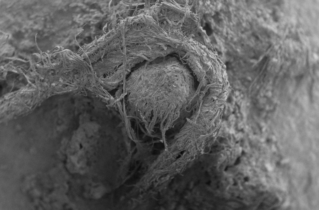 Hallada una cuerda confeccionada por neandertales con fibras naturales