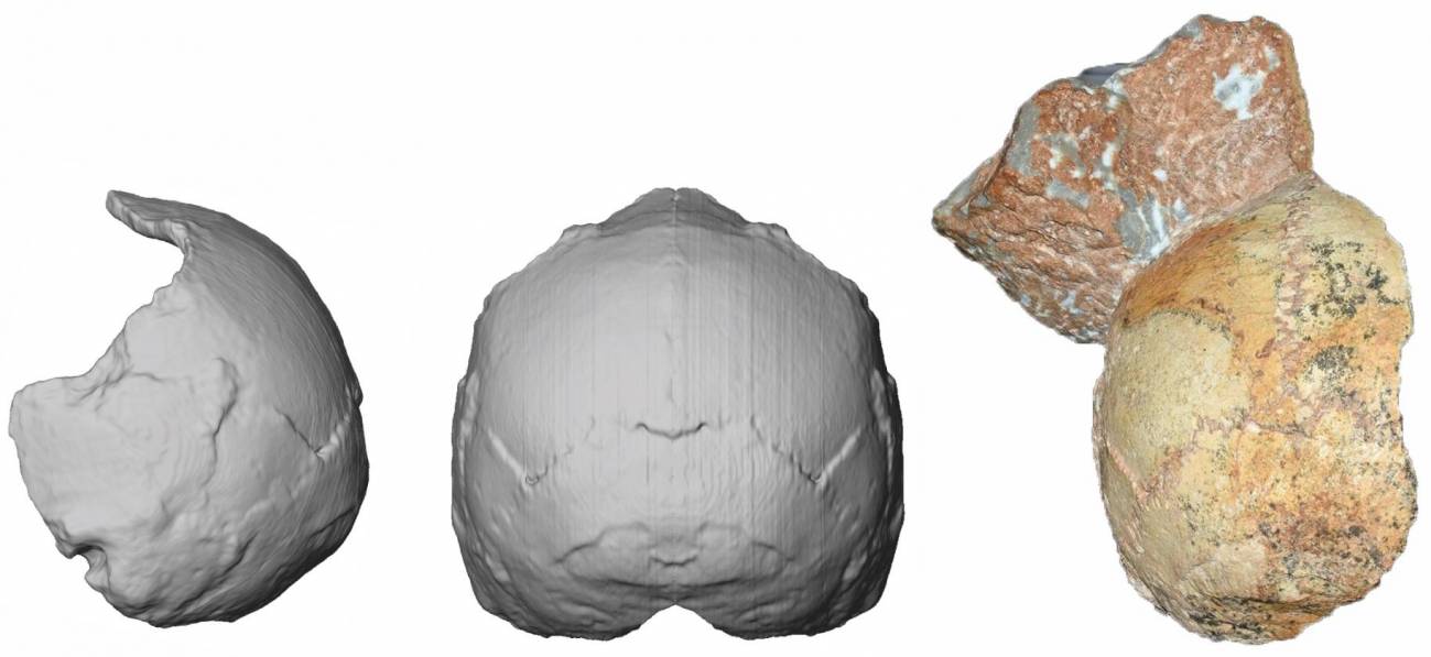 Hallado en Grecia el fósil de humano moderno más antiguo fuera de África