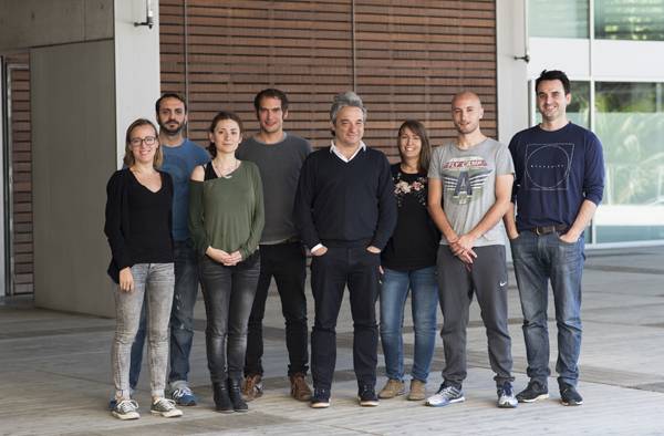 Grupo de investigación en Biologia de las Células B del IMIM