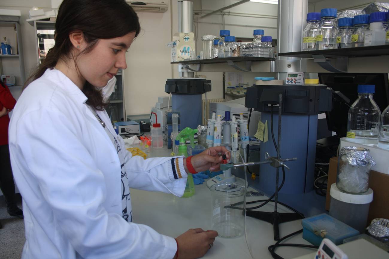 El Instituto de Recursos Naturales y Agrobiología de Salamanca (IRNASA) participa en un descubrimiento internacional publicado en la prestigiosa revista PNAS que aporta una nueva visión de la biología evolutiva y tiene grandes implicaciones económicas