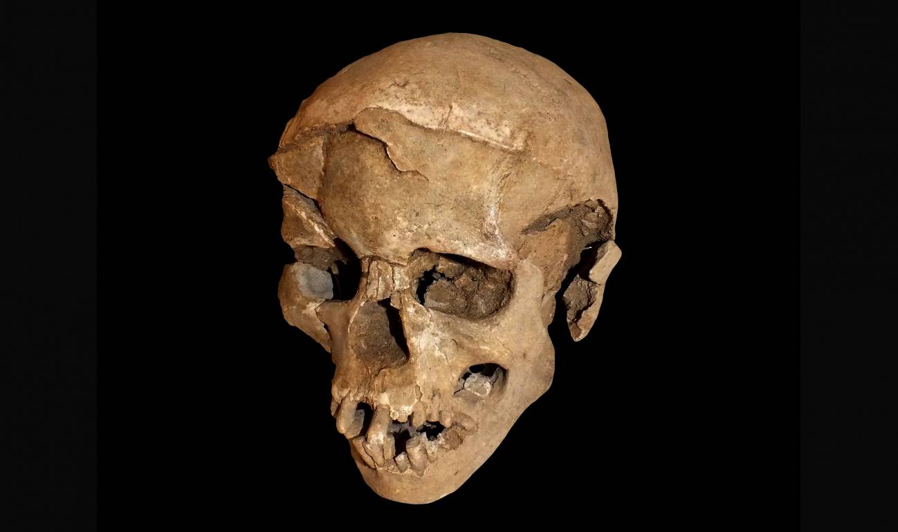 Hallados los vestigios más antiguos de una masacre prehistórica