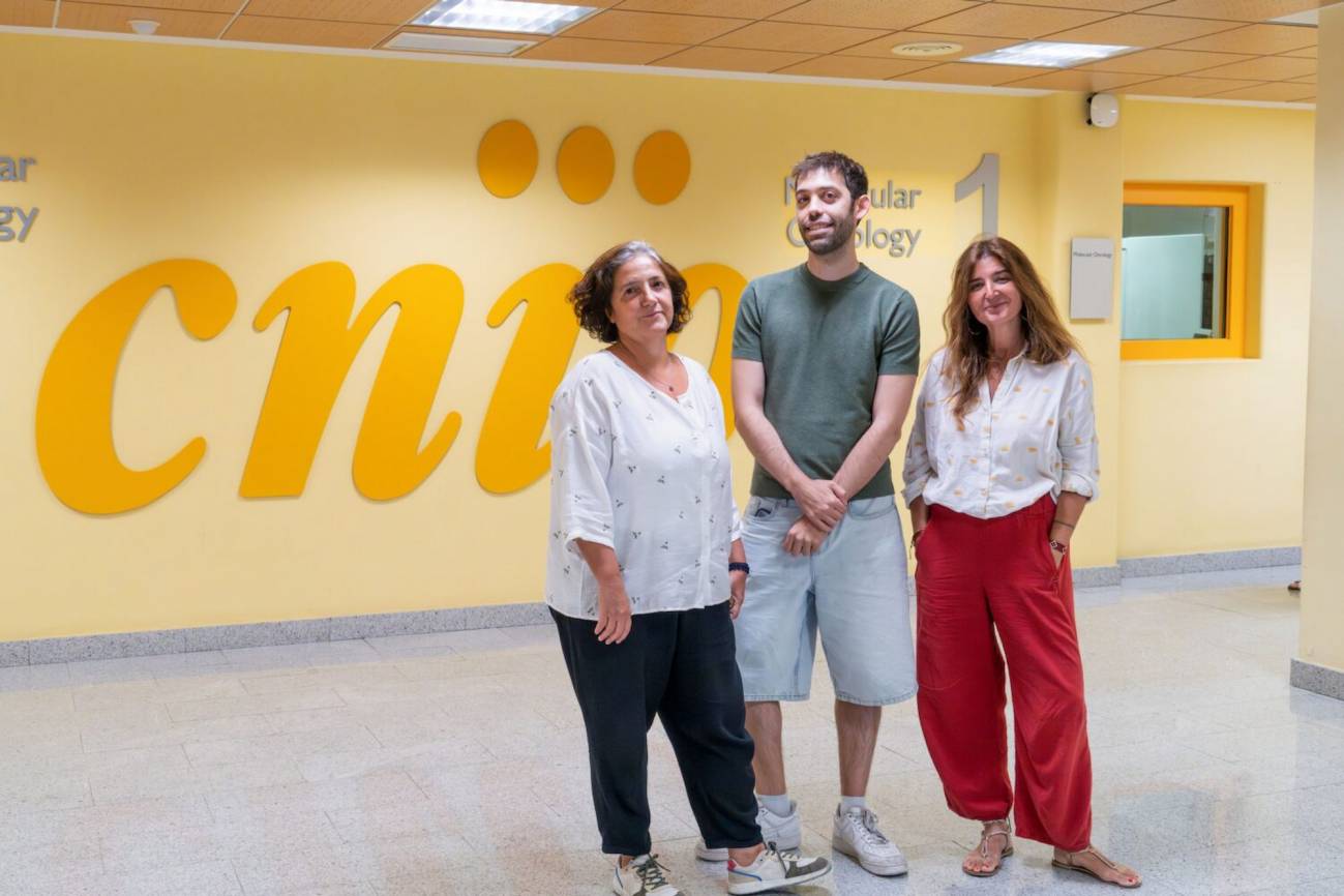 Hallan una nueva forma en que las células evitan errores al duplicar el ADN