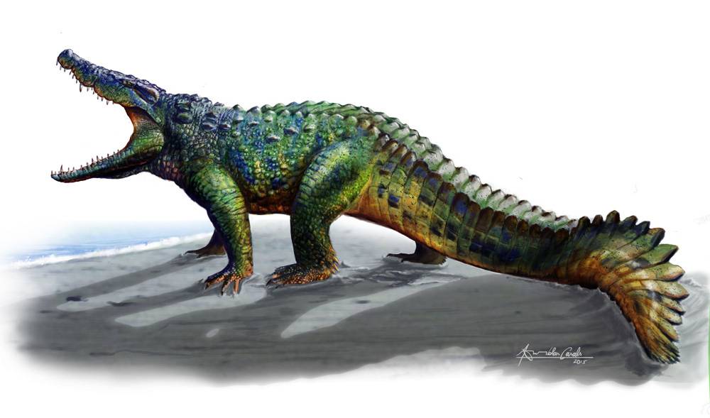 Reconstrucción de Allodaposuchus hulki