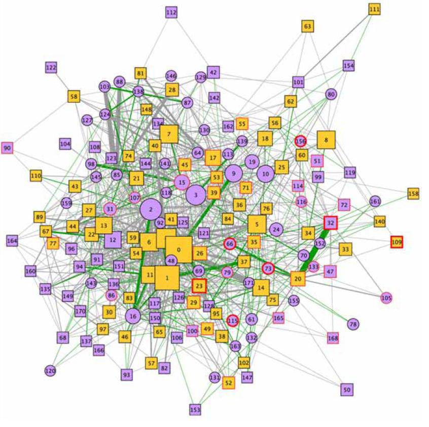 Identificada la mayor red de interacciones entre proteínas asociada al Alzheimer