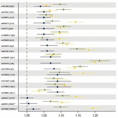 Tabla sobre mecanismos patofisiológicos ligados a la variación de la densidad ósea y a la susceptibilidad a la fractura