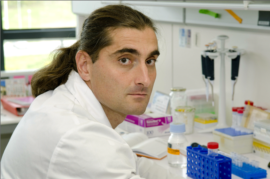 Identifican el mecanismo molecular que bloquea receptores de membrana