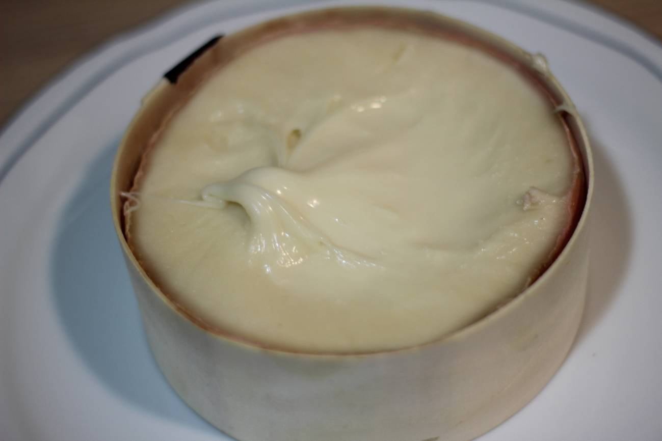 Identifican las mejores plantas del cardo utilizado en la elaboración de la Torta del Casar