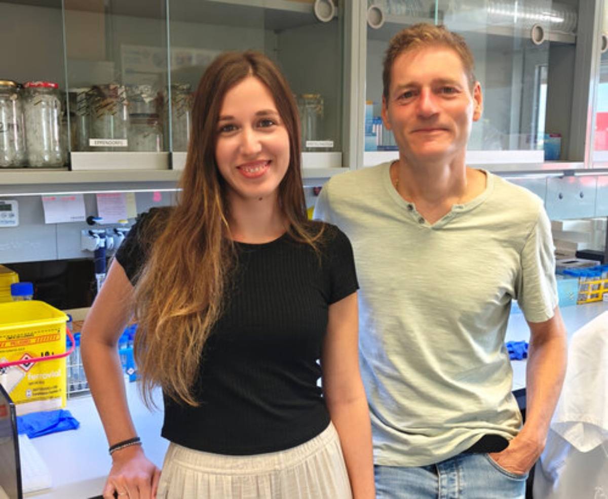 cáncer endometrio