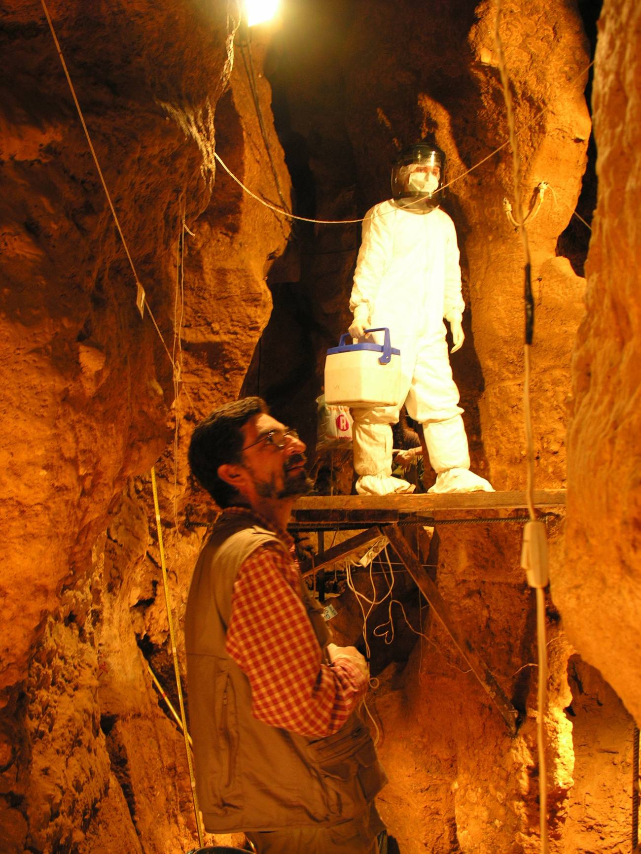 Identifican por primera vez el grupo sanguíneo de neandertales