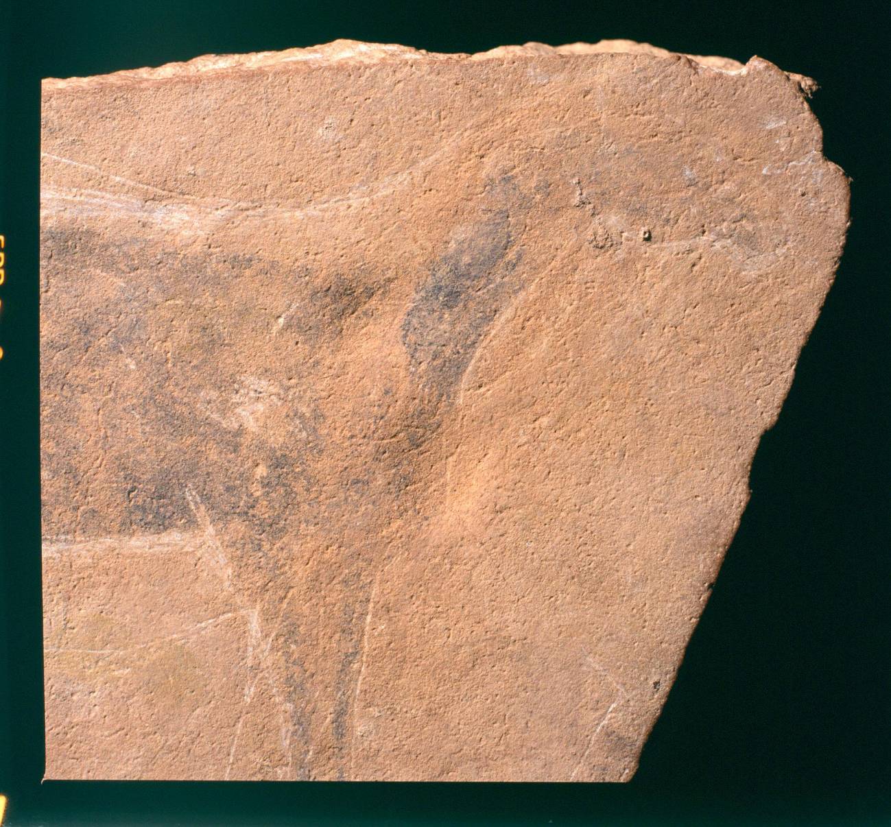 Identifican por primera vez los pigmentos de la Cueva Parpalló
