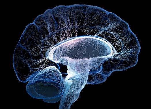 trastorno de la circulación cerebral