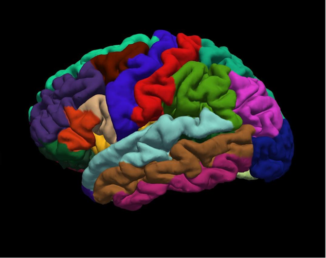 El estudio ha sido publicado en la revista ‘Progress in Neuro-Psychopharmacology and Biological Psychiatry’