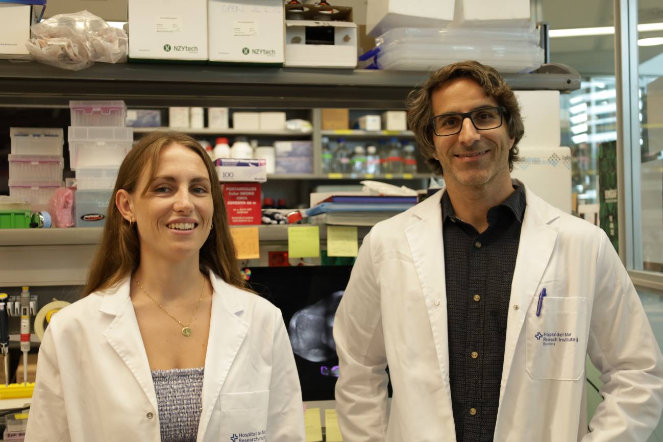 Identifican una nueva diana para evitar la metástasis en cáncer de mama