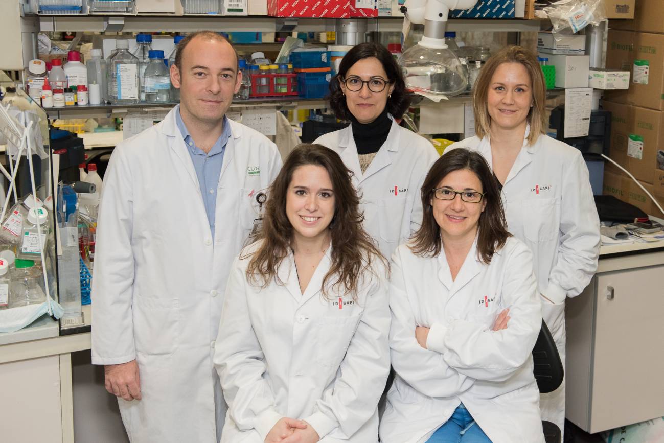 Identifican una proteína inhibidora de la resistencia a la radioterapia en glioblastoma