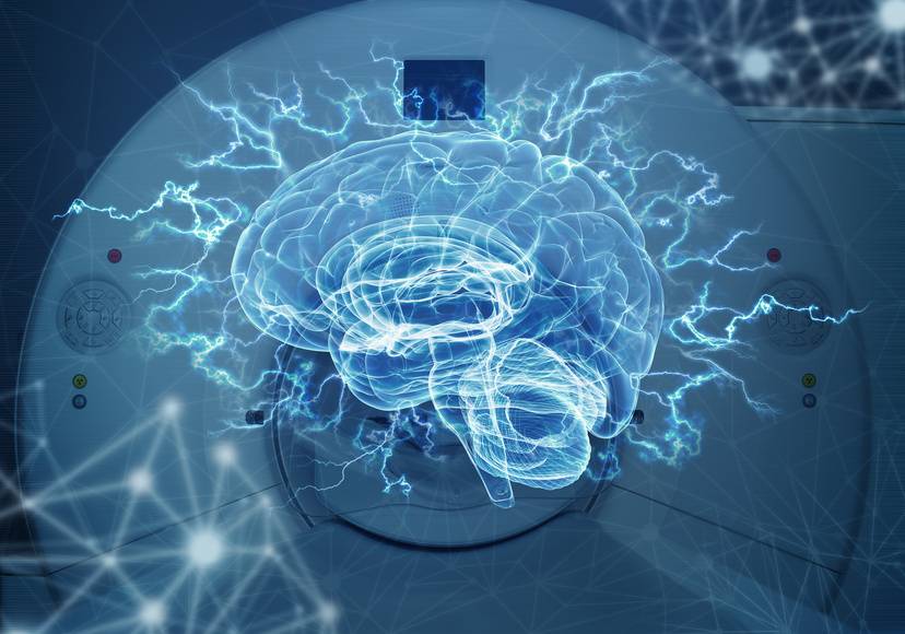 Imágenes del cerebro refutan una teoría de los años 60 sobre el dominio del lenguaje