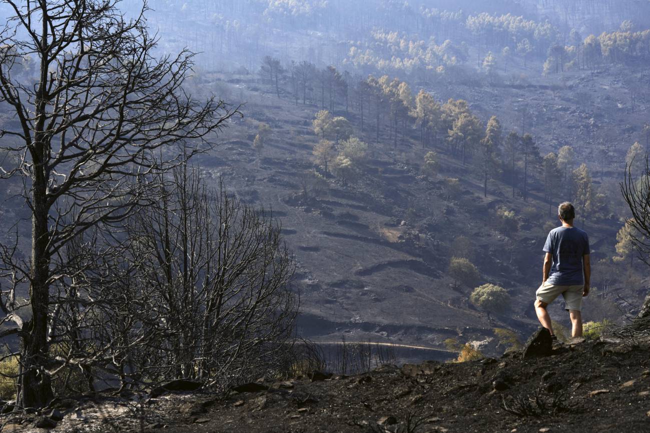 Incendio de Burgohondo (Ávila) 