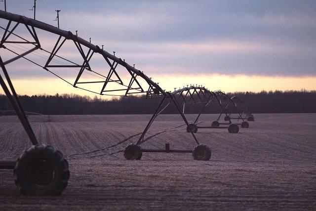 Inteligencia artificial para ahorrar agua en los regadíos