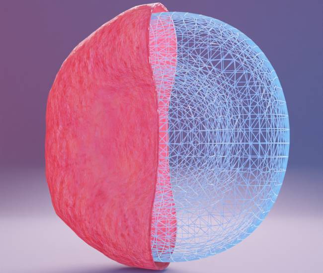 Investigadoras del CSIC desarrollarán una tecnología para crear sangre artificial