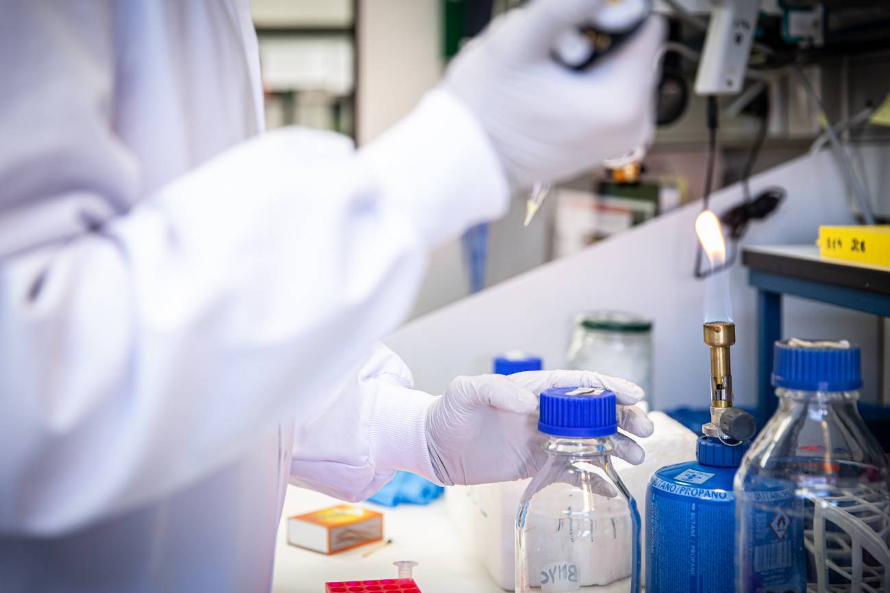 Investigadores españoles desarrollan fármacos antivirales para impedir el transporte del coronavirus dentro de las células