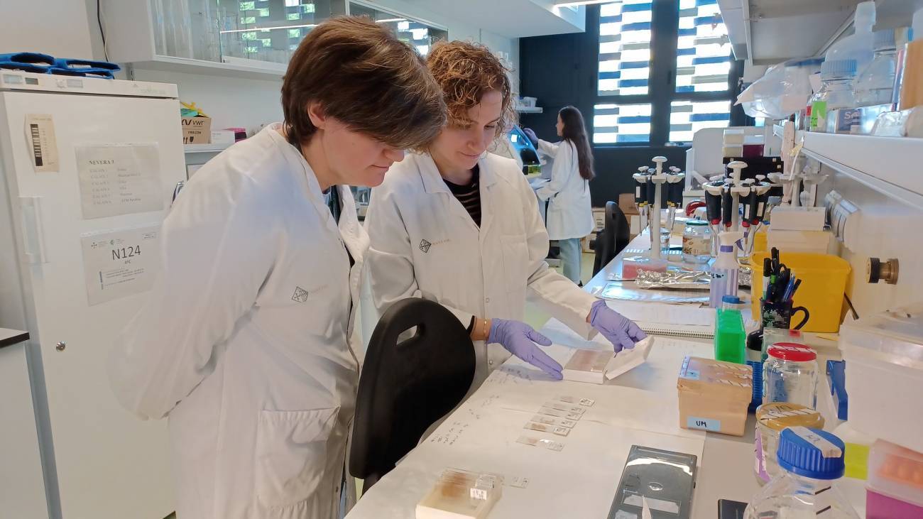 investigadores en el laboratorio