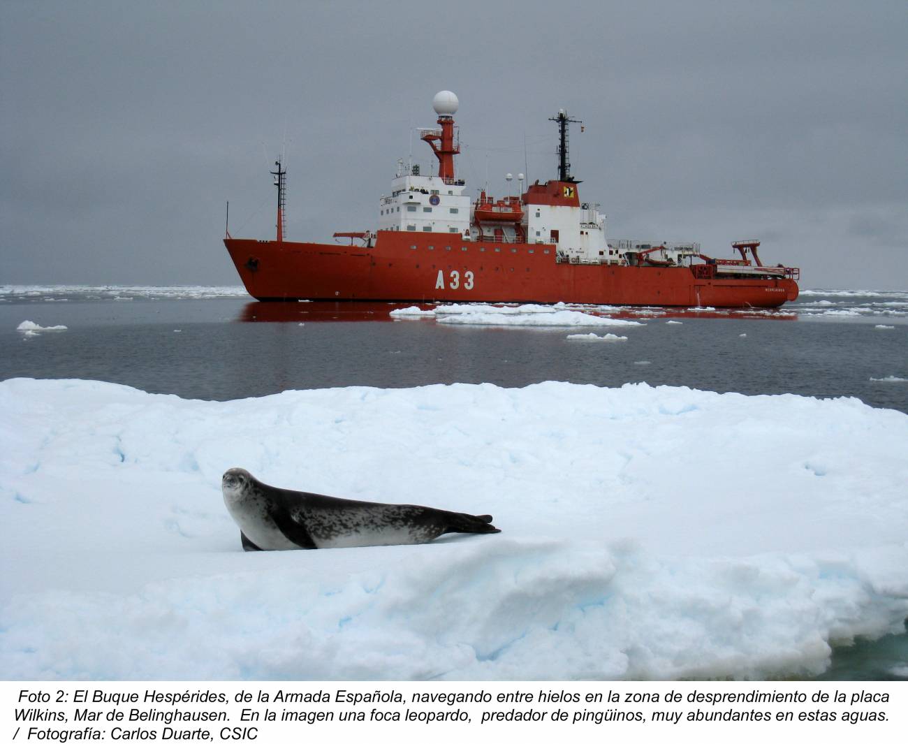 Investigadores españoles presencian la fragmentación y desprendimiento de la placa de hielo Wilkins en la Antártida