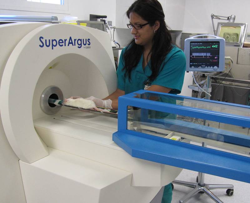 Preparación del animal para su introducción en el tomógrafo PET/CT