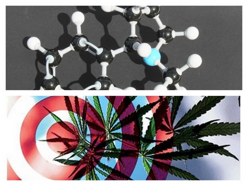 La adicción a la nicotina se relaciona con un receptor del cannabis