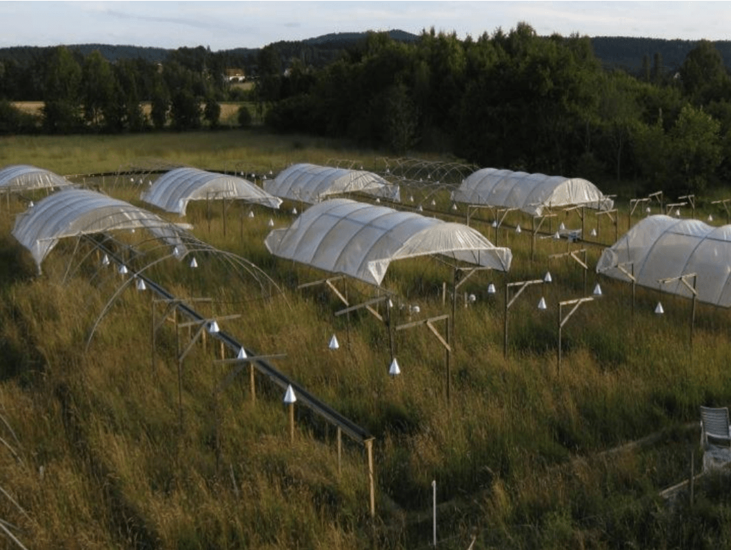 La baja sincronía de un pequeño número de especies vegetales favorece la estabilidad en los ecosistemas del mundo