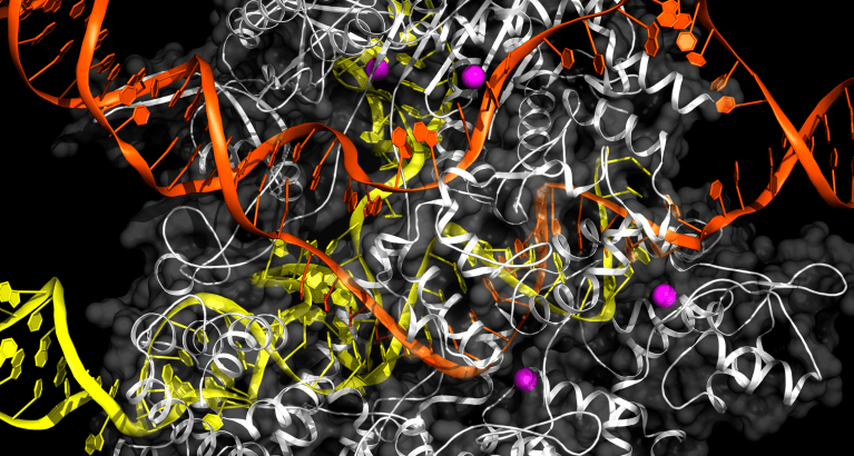 La batalla por la patente de CRISPR ya tiene un primer ganador 