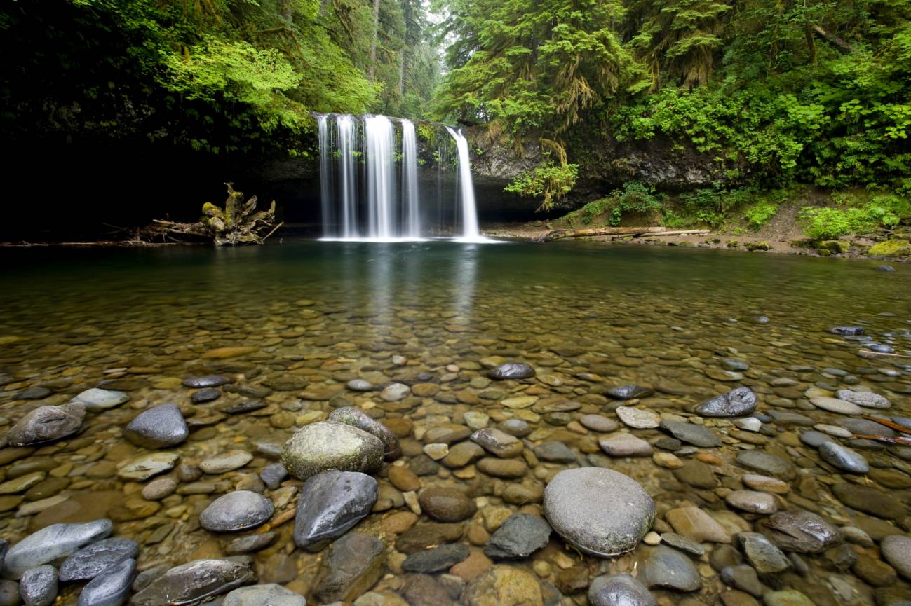 La biodiversidad mejora la calidad del agua