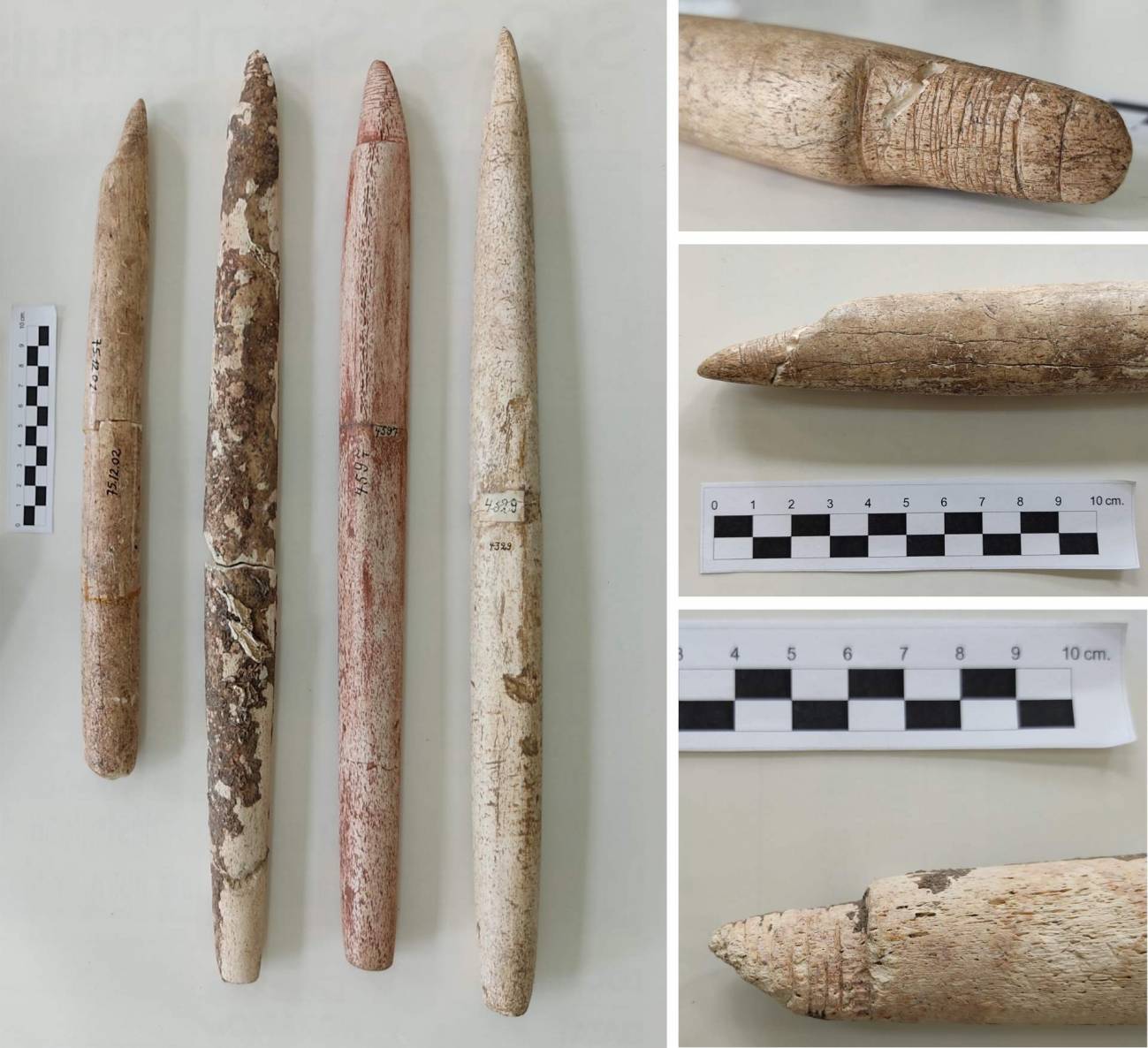 Astiles de arpón, ballenas