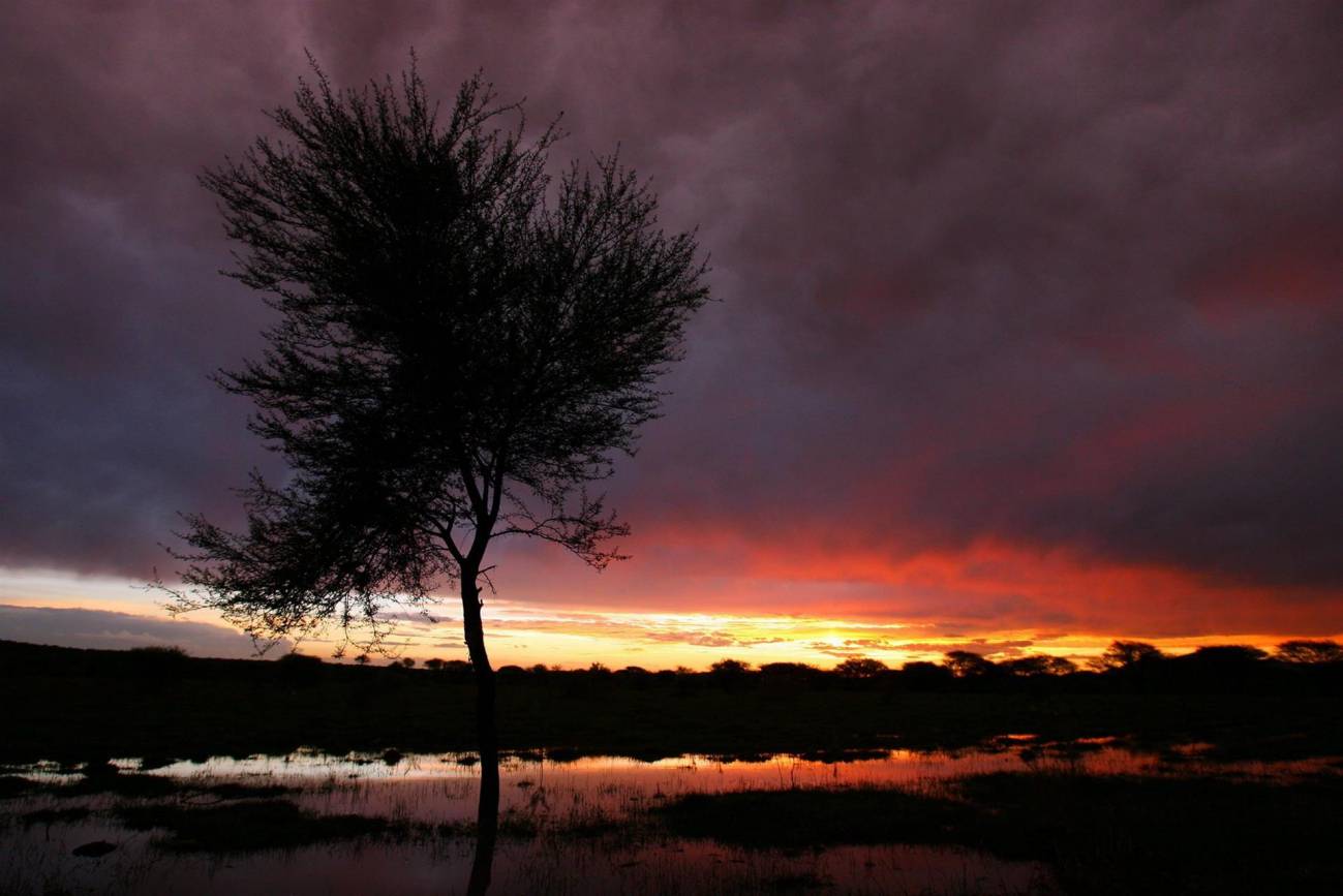 La crisis climática se intensifica en los ocho años más cálidos de los que se tiene constancia