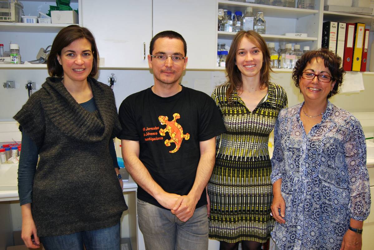 Investigadores del IDIBELL que han participado en el estudio