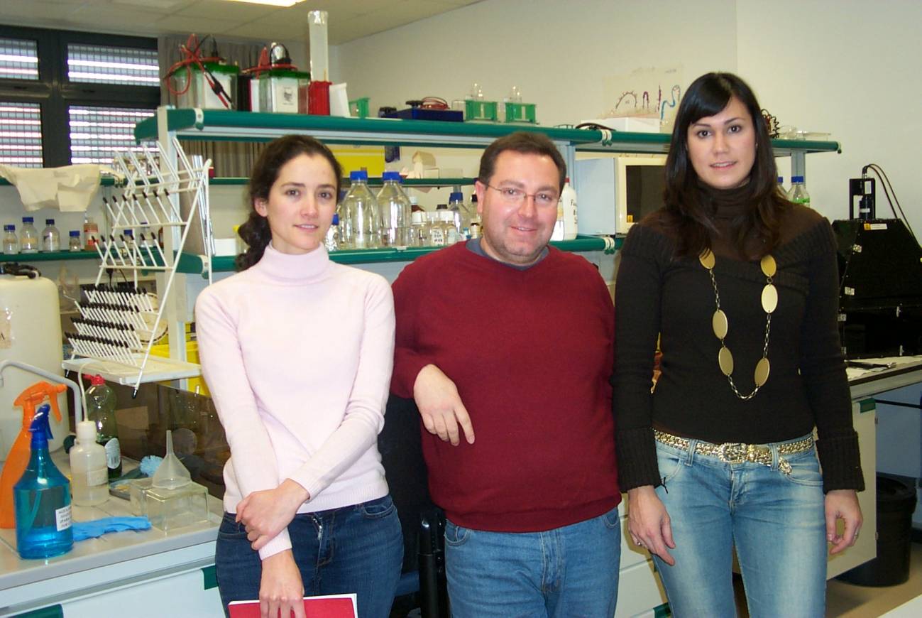 La falta de la proteína DREAM puede mejorar la memoria y retrasar el envejecimiento cerebral