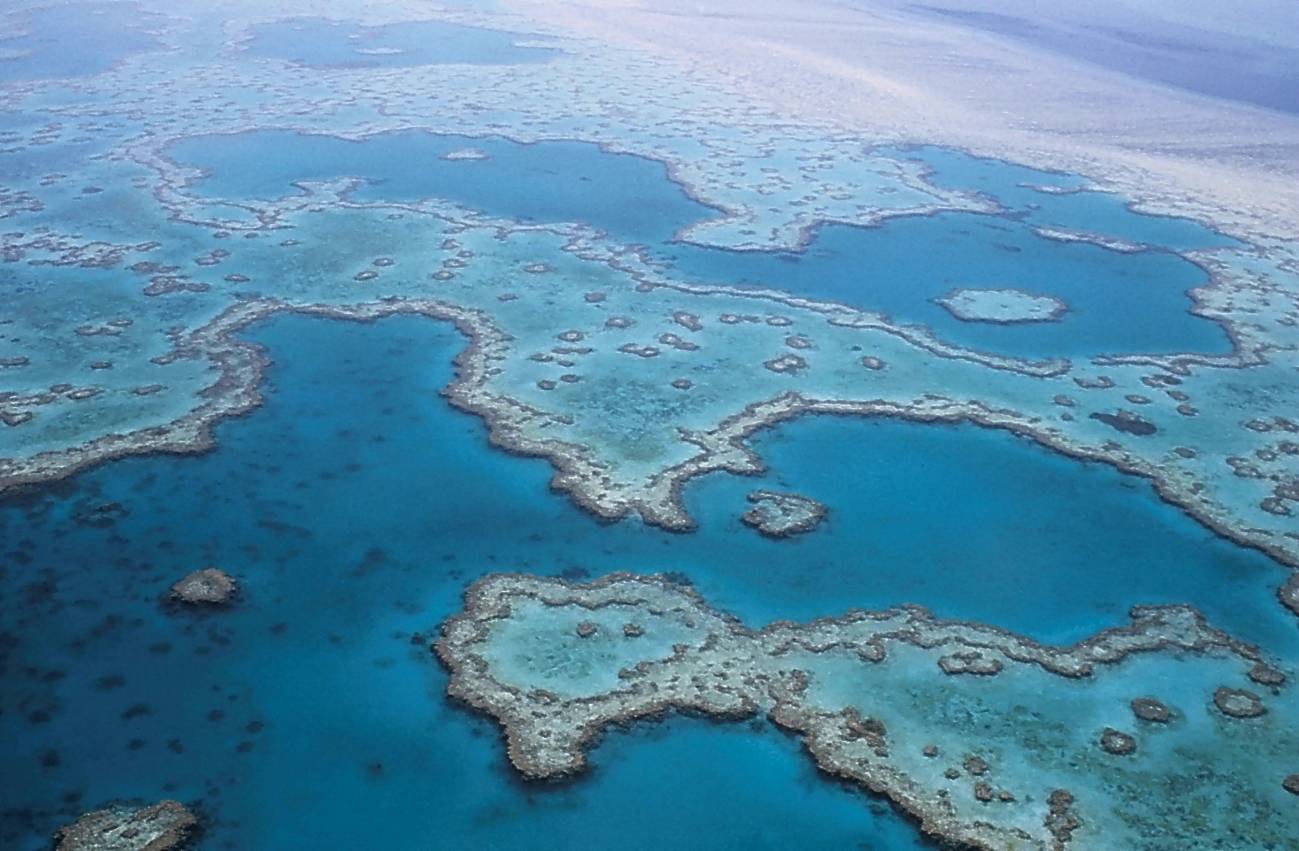 La Gran Barrera de Coral ha sobrevivido a cinco cambios ambientales drásticos 