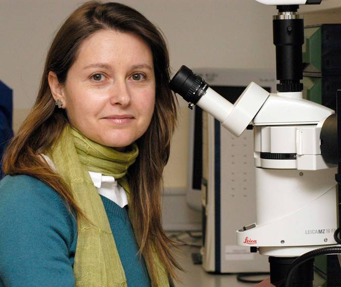 La investigadora María Domínguez recibe el IX Premio Francisco Cobos a la investigación Biomédica