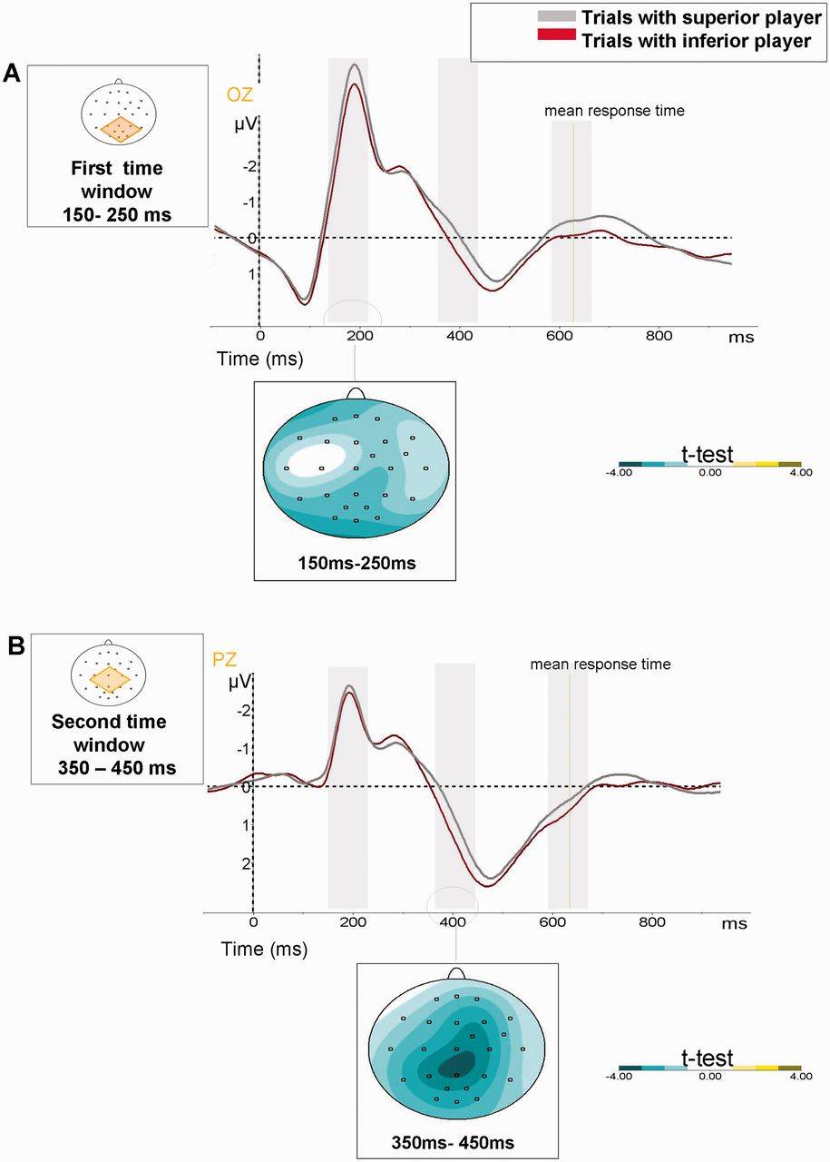 La jerarquía social modula la actividad cerebral y el comportamiento