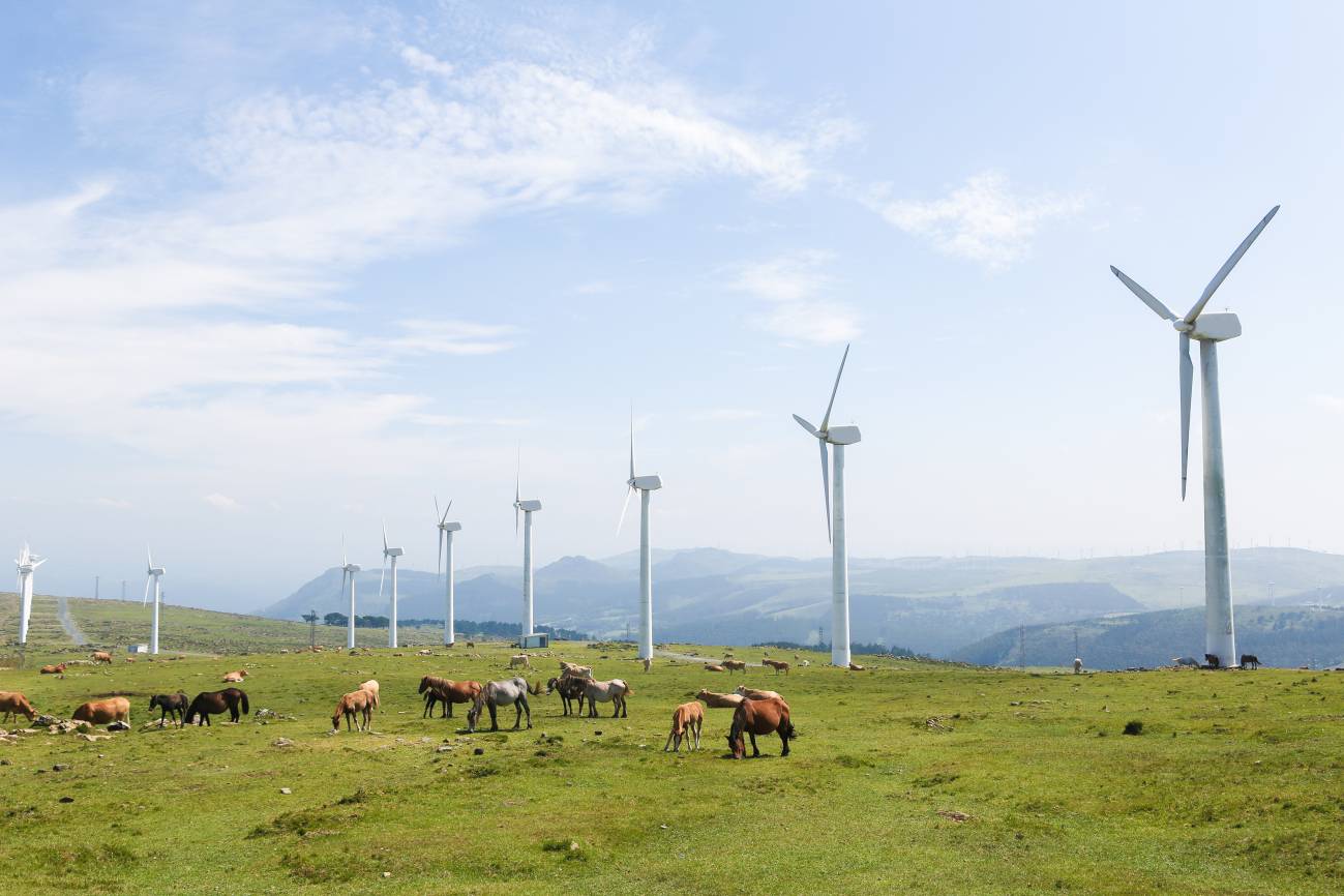 La ley de cambio climático abre un camino que necesitará del mejor conocimiento científico