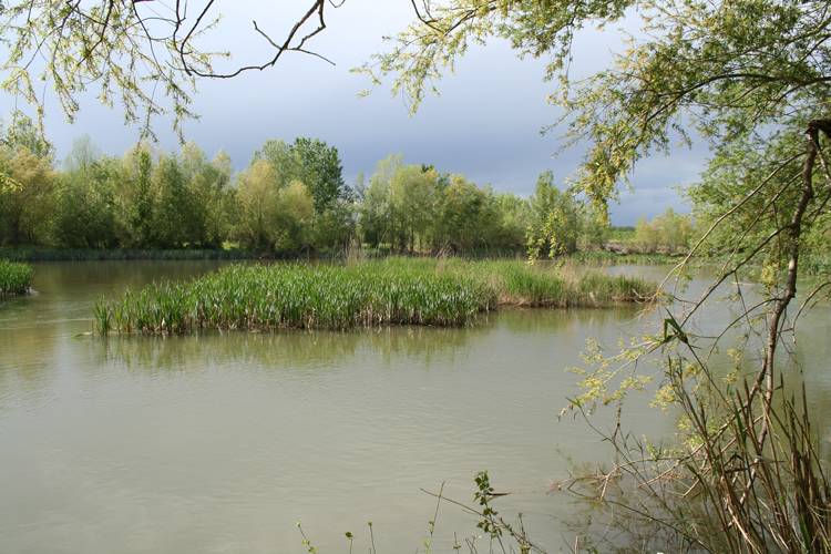 La lluvia de verano en el río Segre ha disminuido casi un 45% en 60 años