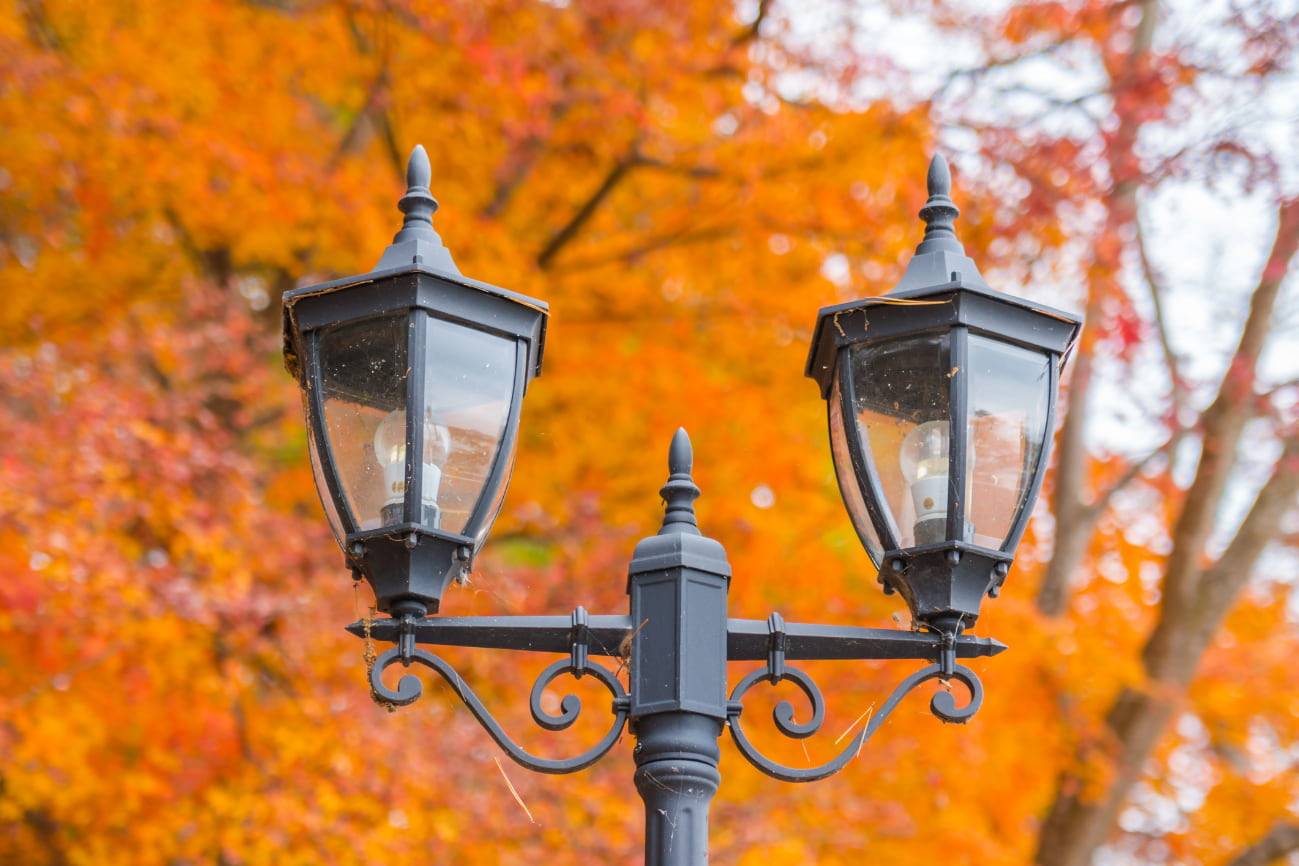 farola con árboles anaranjados de fondo