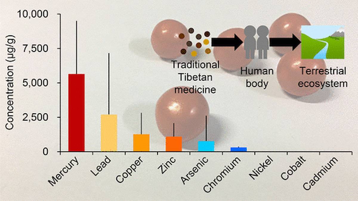 Los investigadores han analizado las concentraciones de mercurio y otros elementos tóxicos por el uso de la medicina tradicional tibetana. /Environ. Sci. Technol.| Xuejun Wang et al. 