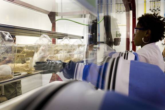La mejora de las condiciones laborales de los investigadores, a debate en Europa