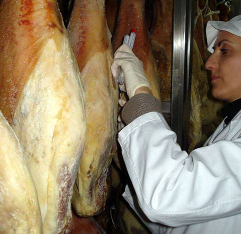 La mejora del jamón serrano pasa por secuenciar el ADN de sus hongos 