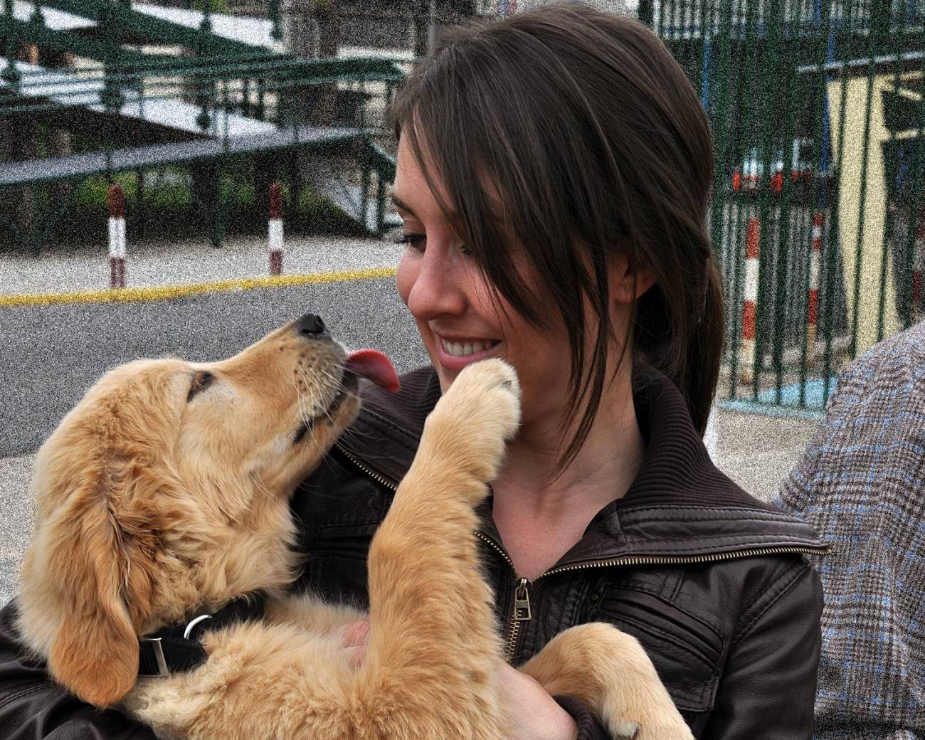 Una de los animales que participan en la terápia 