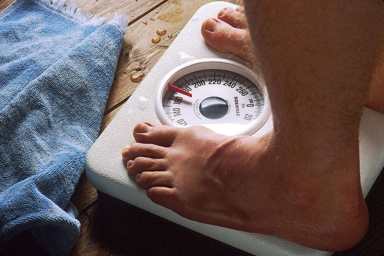 Prevalencia de la obesidad