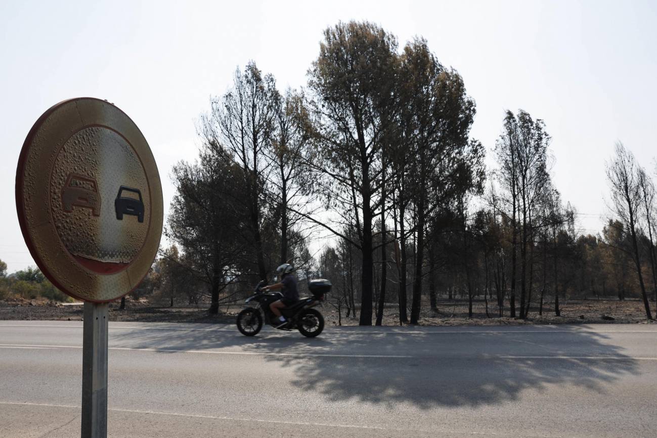 cambio climático, incendios