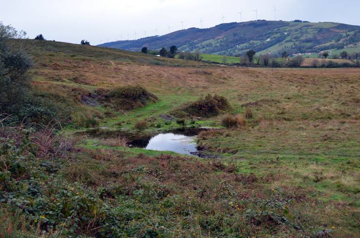 Vista de la Turbera de La Molina, donde se ha llevado a cabo el estudio. / venasalas.com