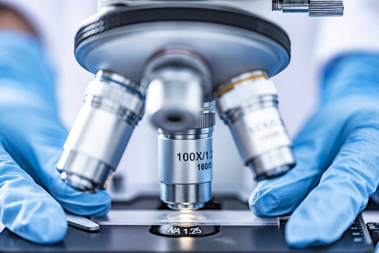 microscopio